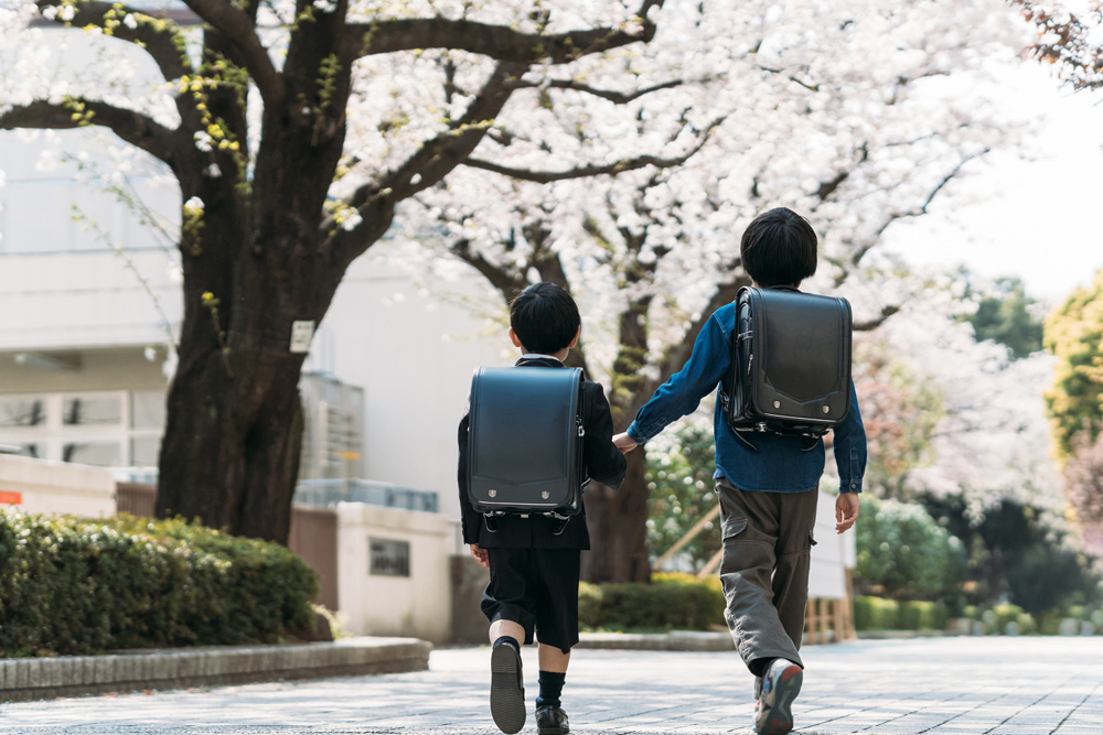 花瓣素材_日本小学高年级学生和一年级学生在十字路口举手_158952469-小.jpg